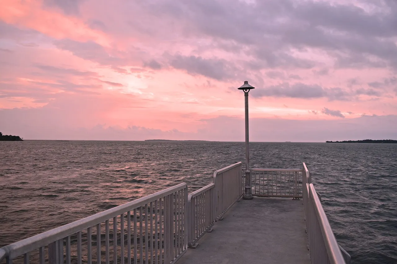 Dock Street, Fresh Seafood, and Small Festivals (Image Credits: Pixabay)