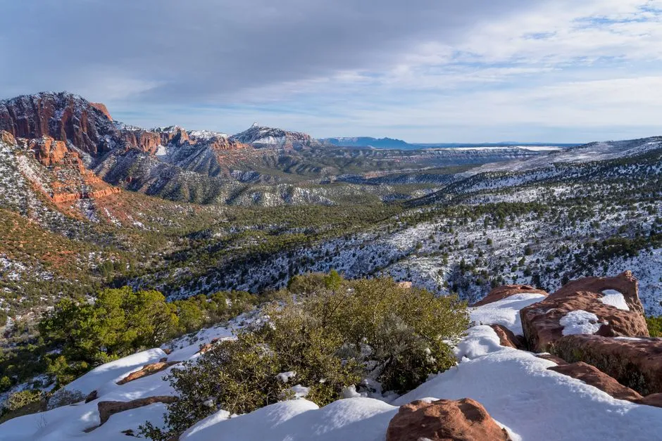 Wildlife, Solitude, and No Guardrails (Image Credits: Pexels)