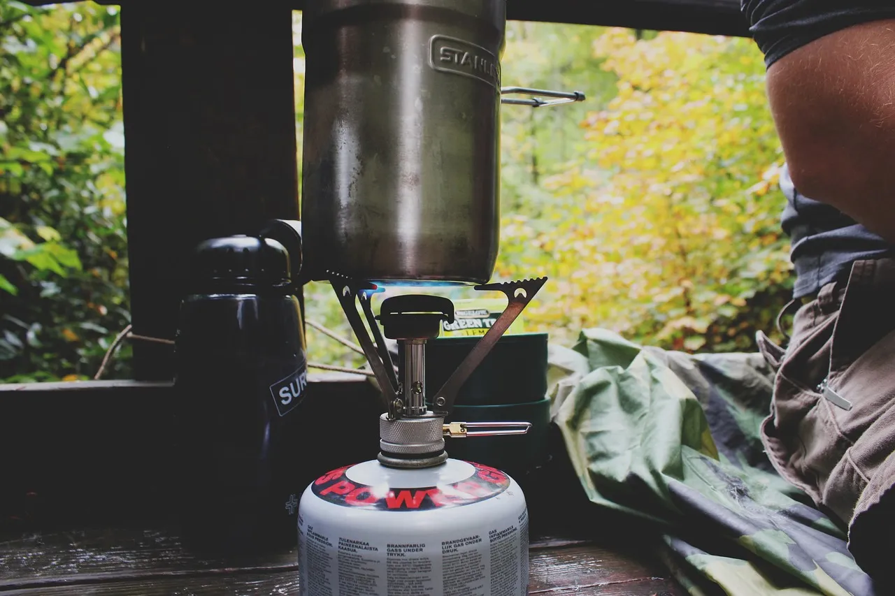 What Responsible Campers Are Doing Instead (Image Credits: Pixabay)