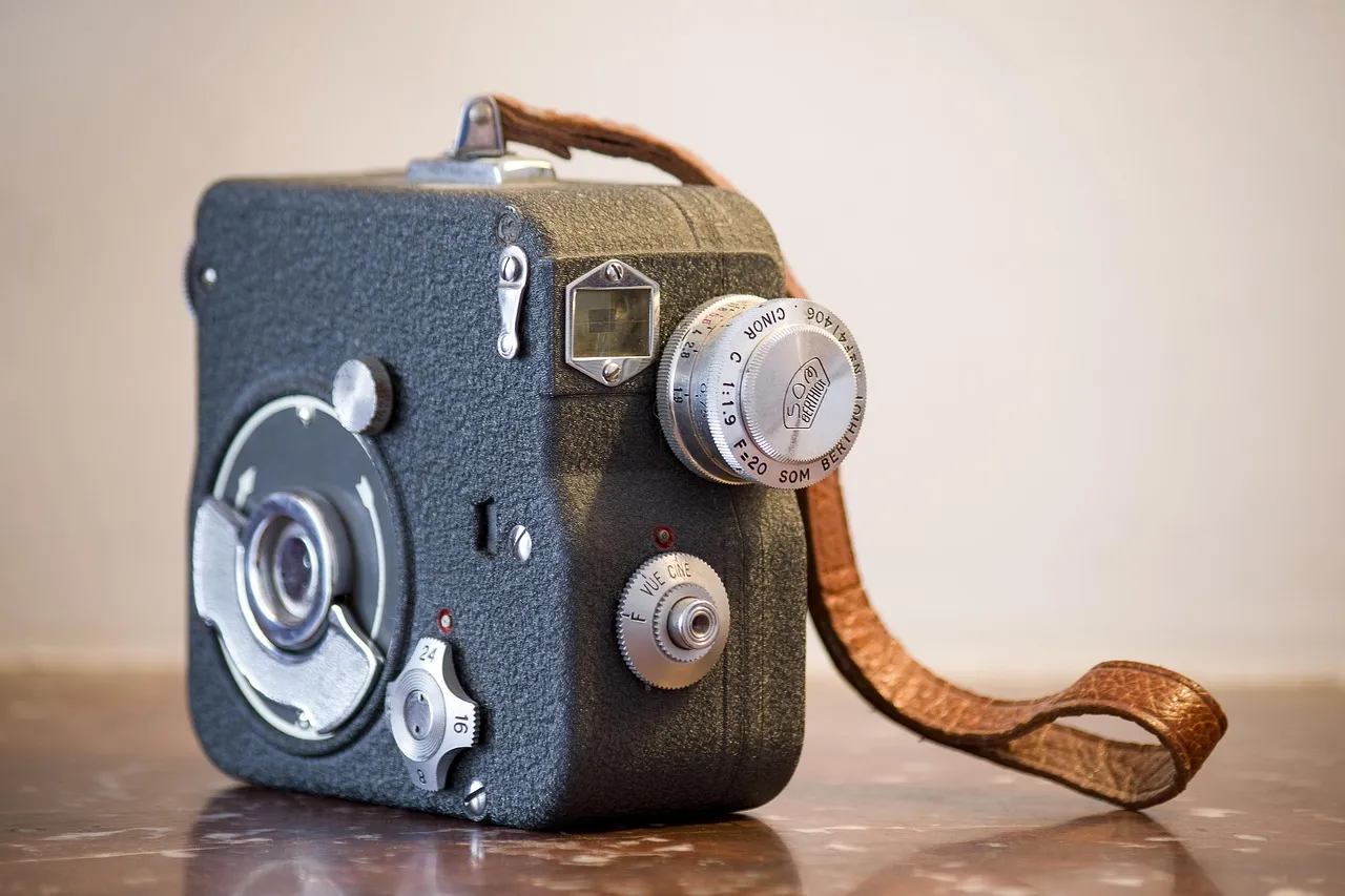 What Families Actually Chose to Film (Image Credits: Pixabay)