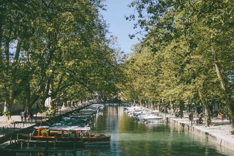 L'Isle-sur-la-Sorgue: The Antique Town on the Water (Image Credits: Pexels)