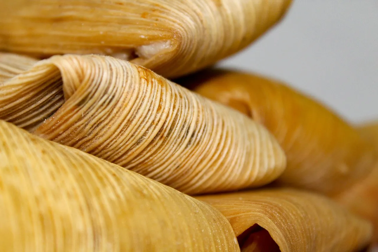 Tamales y Atole in Mexico City: The Breakfast Ritual (Image Credits: Pixabay)