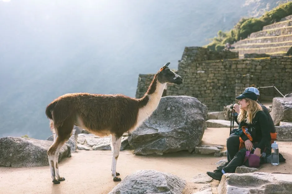 Terrain Changes Everything (Image Credits: Pexels)