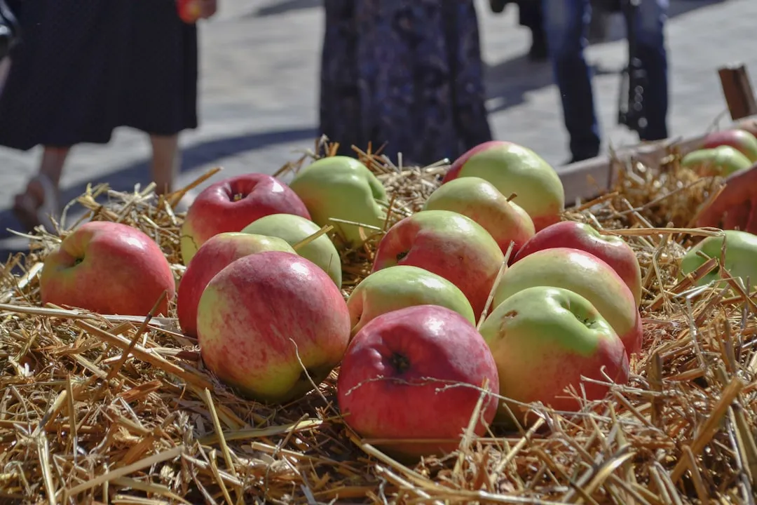 Planning Your Visit: Practical Notes for Fall Travelers (Image Credits: Unsplash)