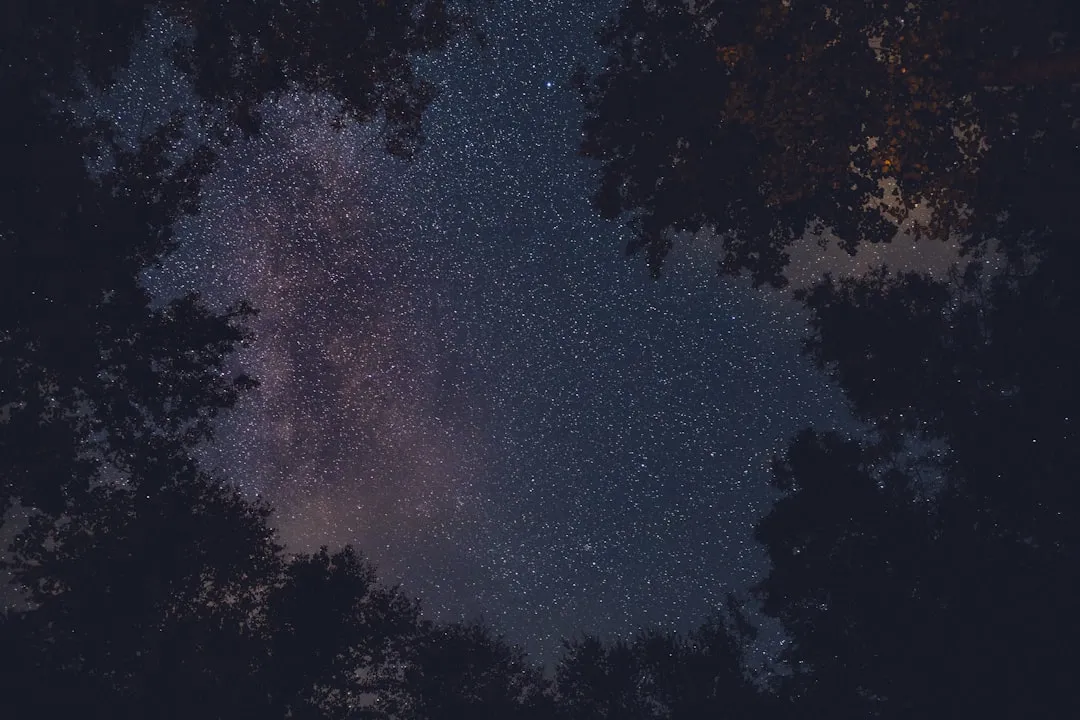 The Setup: 360-Degree Sky, Telescope Pads Included (Image Credits: Unsplash)