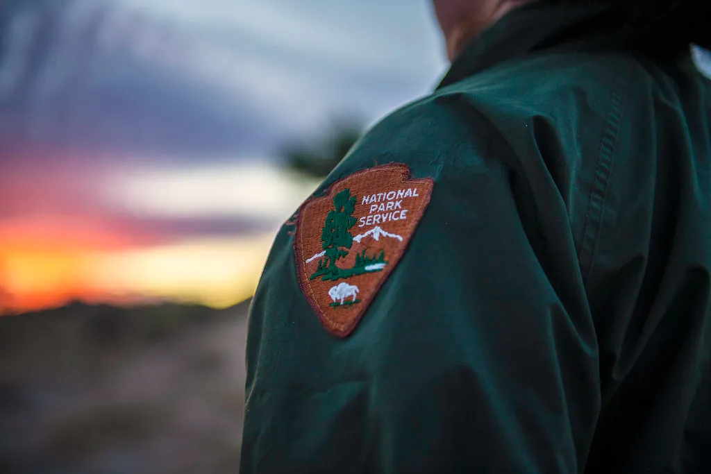 The Role of Park Rangers in Real-Time Wildlife Tracking (Image Credits: Flickr)