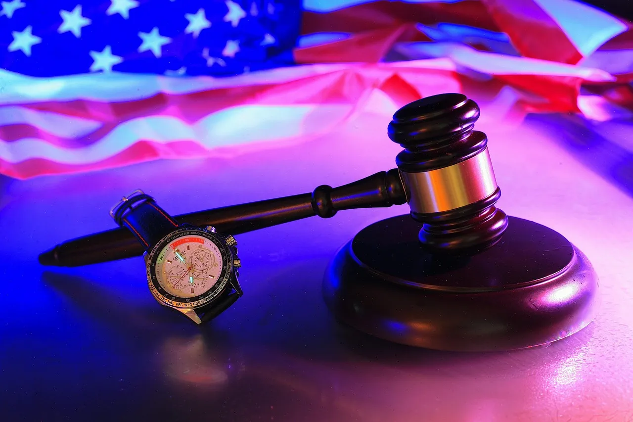 When It Reached the Courtroom (Image Credits: Pixabay)
