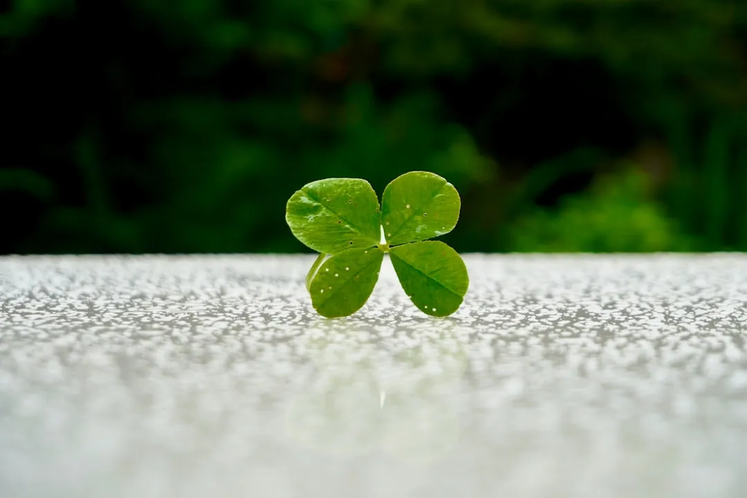 Carrying a Lucky Charm on Board (Image Credits: Unsplash)