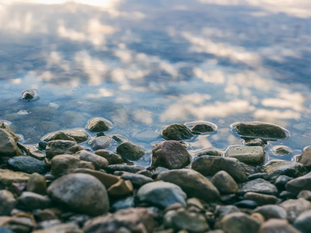 Waterways Suffer a Special Kind of Harm (Image Credits: Unsplash)