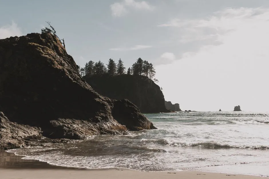 Thousands of Methane Seeps Along the Margin (Image Credits: Pexels)