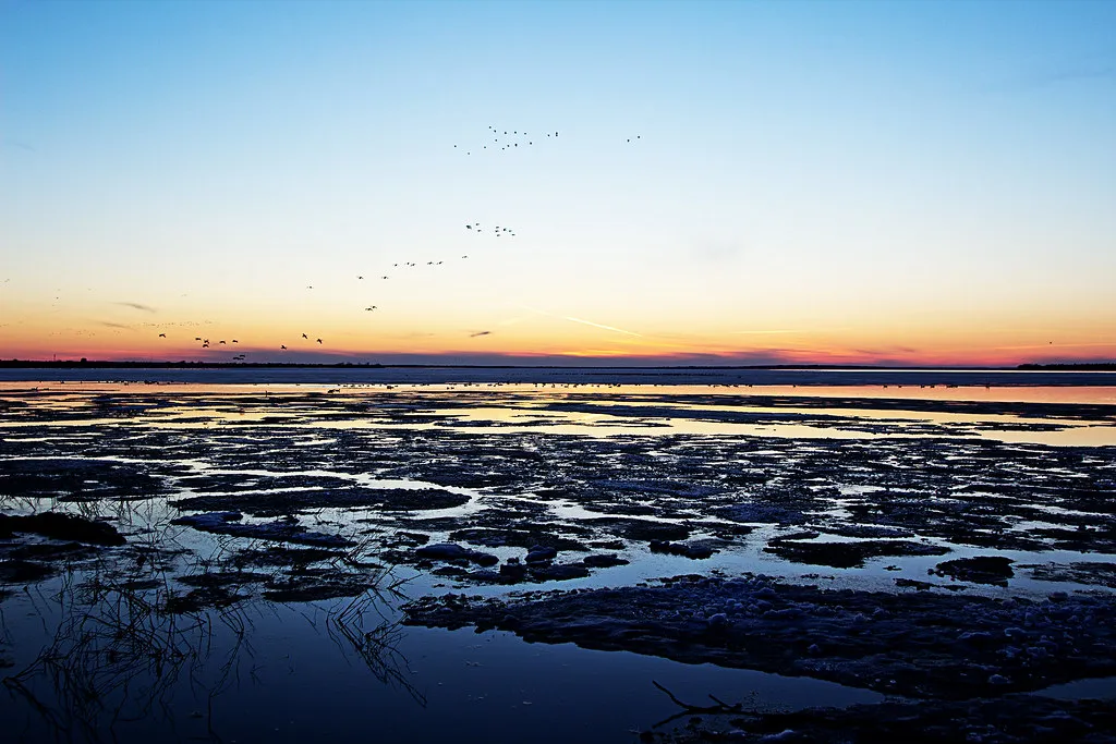 Spring: Underrated, Especially for Shoulder-Season Visitors (SimonSage, Flickr, CC BY 2.0)