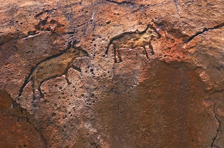 The Cherokee History Within These Walls (Image Credits: Pexels)