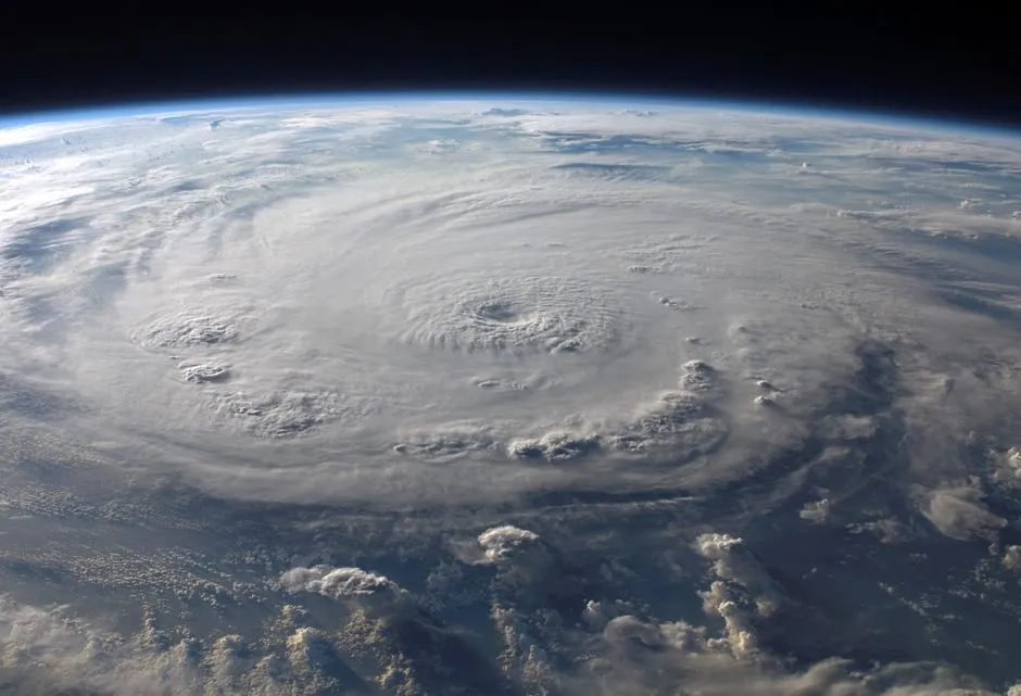 The Protective Role That Benefits Everyone Inland (Image Credits: Pexels)