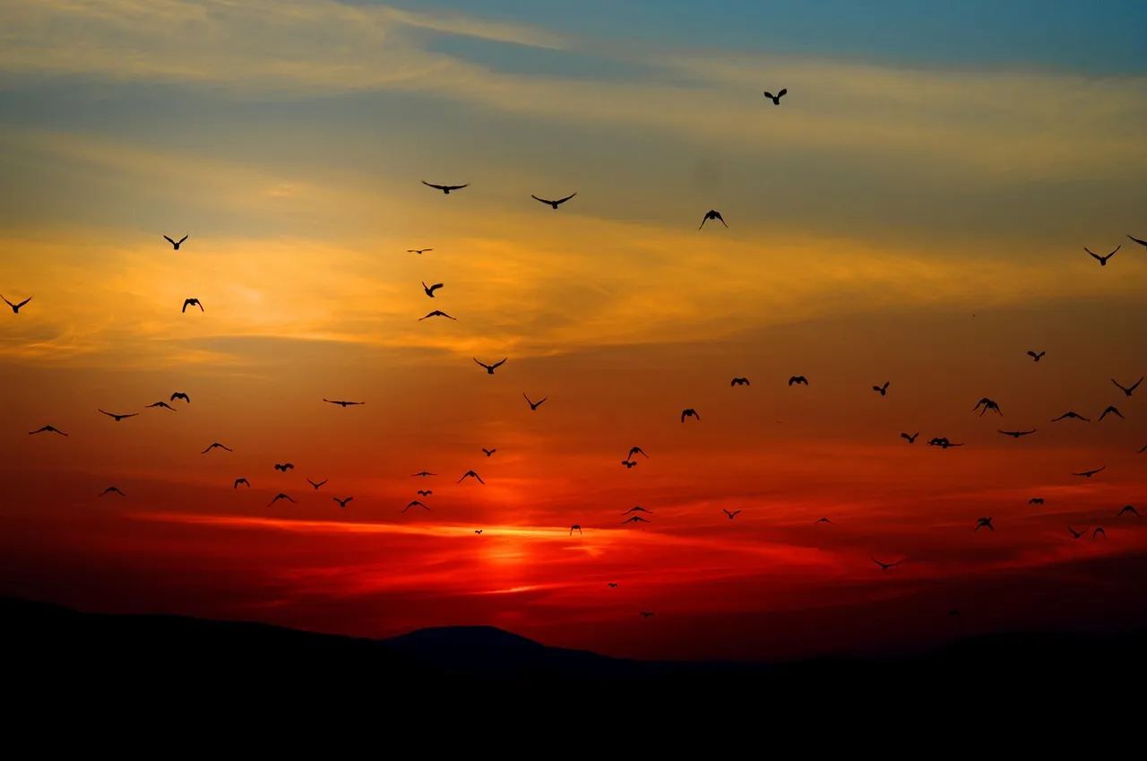 How Ecosystems Reward Those Who Go Quietly (Image Credits: Pixabay)