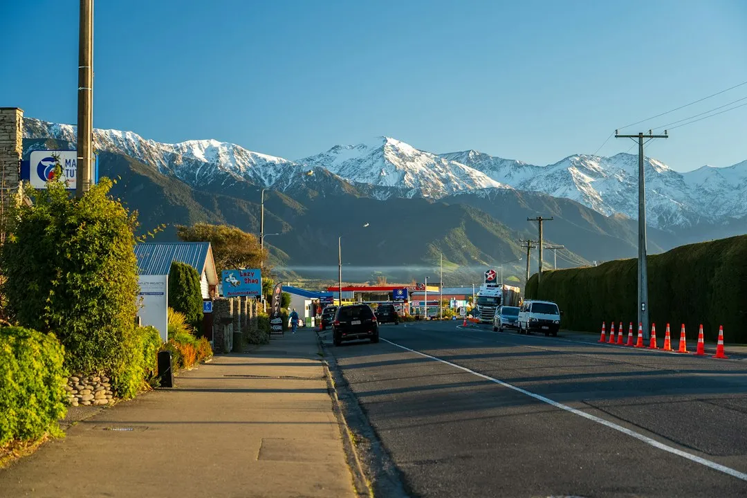 New Zealand: Conservation at the Border (Image Credits: Unsplash)