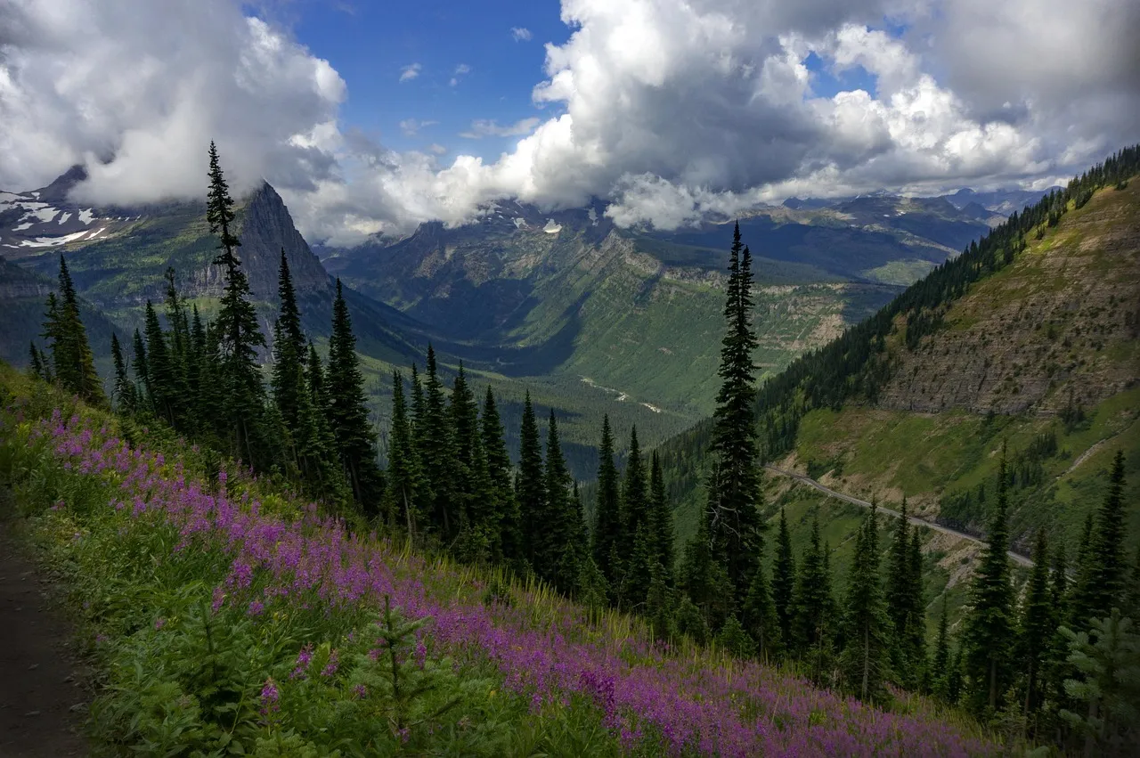 Trails, Pines, and the Highline: Outdoor Recreation at Real Scale (Image Credits: Pixabay)