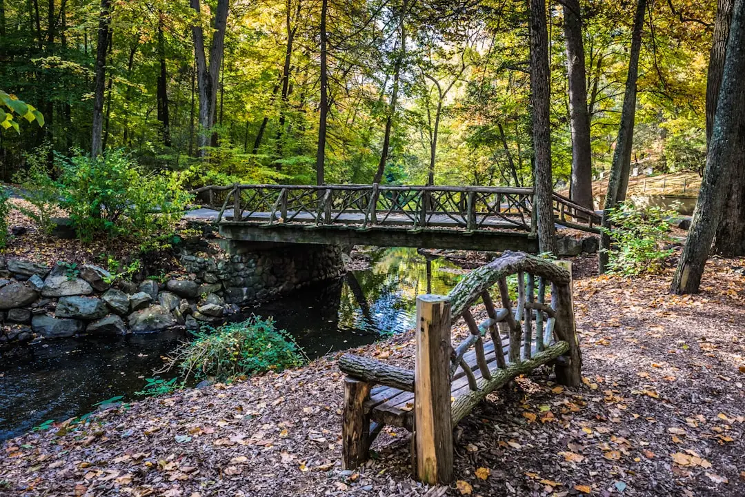 Sleepy Hollow: Legend, Landscape, and Living History (Image Credits: Unsplash)