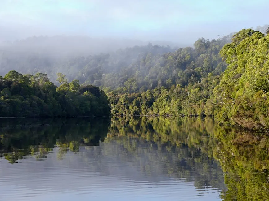 The Conservation Battles Shaping Tasmania Today (Image Credits: Pexels)