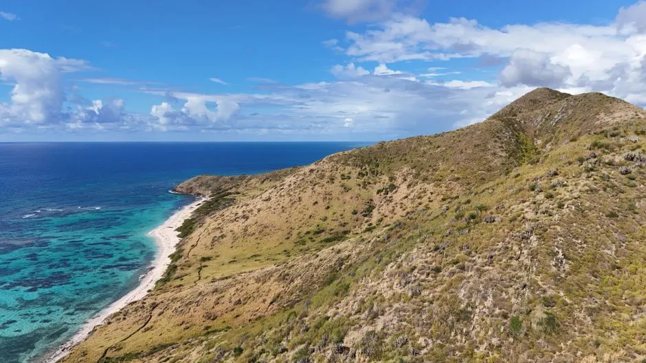 Record Tourism Numbers - But St. Croix Stays Quieter (Image Credits: Pexels)