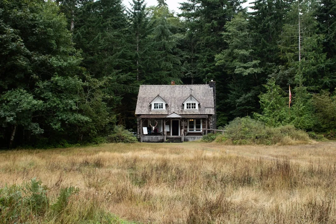 Forks, Washington: The Quiet Town at the Heart of the Retreat Culture (Image Credits: Unsplash)