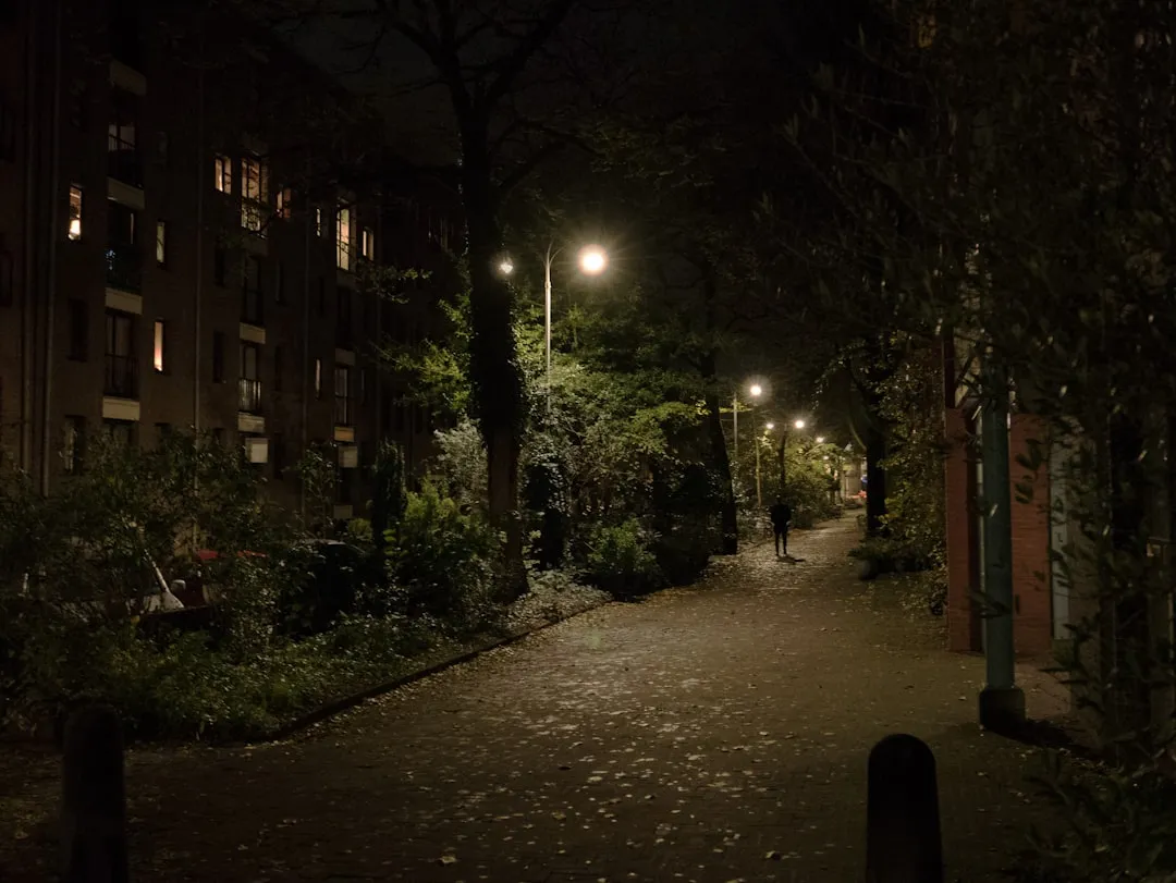 5. Stay in Well-Lit, Populated Areas After Dark (Image Credits: Unsplash)