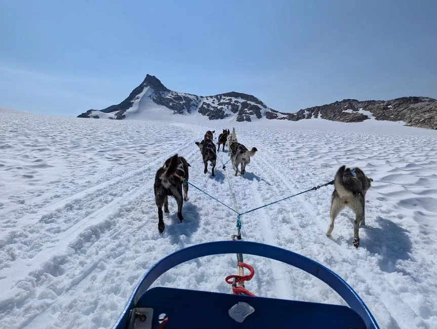 The 2026 Iditarod: A Return to Proper Snow (Image Credits: Pexels)