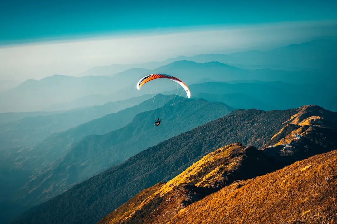 The Adventure Seeker: Wired for Stimulation (Image Credits: Unsplash)