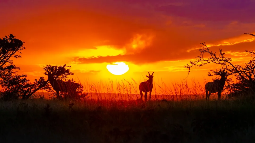 The Takeaway: Show Up Before the World Wakes Up (Image Credits: Unsplash)
