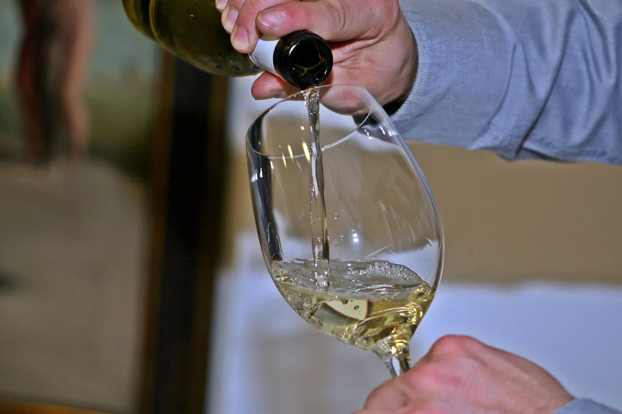 Celebrity Cruises: A Sommelier in Every Single Restaurant (Image Credits: Pixabay)