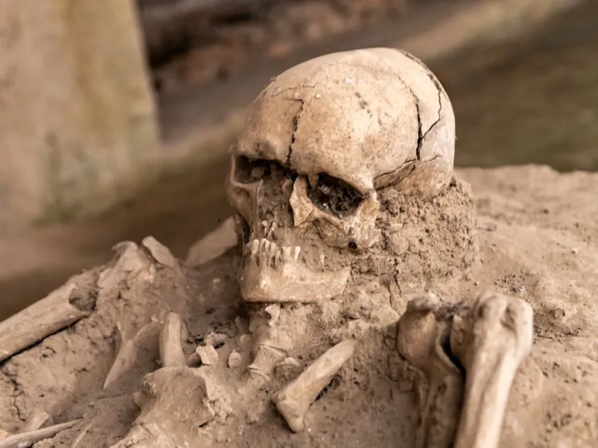The Starving Time and Evidence of Cannibalism (Image Credits: Pexels)