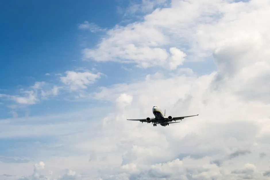 Airplane Mode vs. Turning Off Data Roaming: They're Not the Same (Image Credits: Pexels)