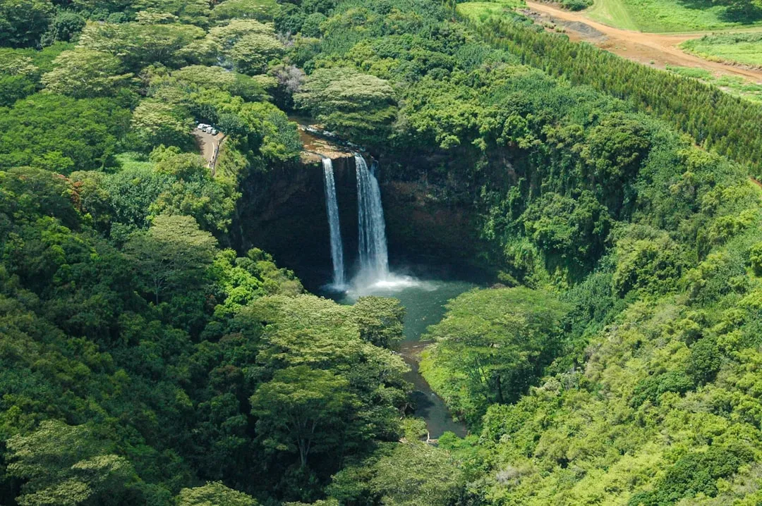 1. Wailua Falls: The Double Cascade That Became a Legend (Image Credits: Unsplash)