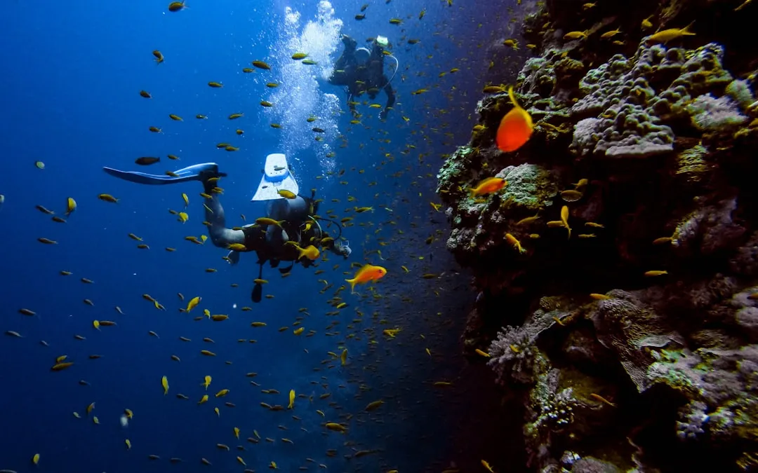 What Aquarium Divers and Long-Term Observers Actually See (Image Credits: Unsplash)