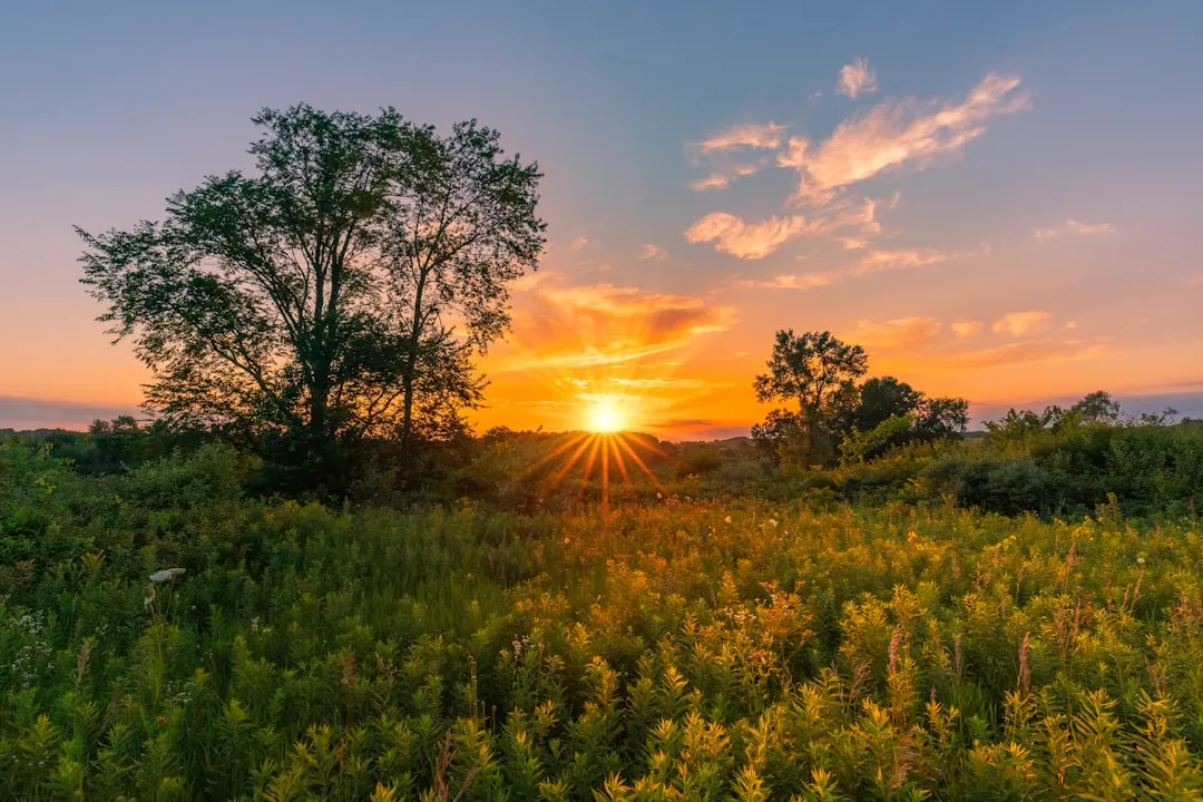 The Trend Points Toward Quieter, More Natural Escapes (Image Credits: Unsplash)
