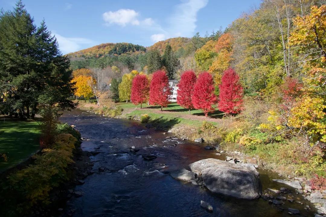 Woodstock: The Quintessential Vermont Village (Image Credits: Unsplash)