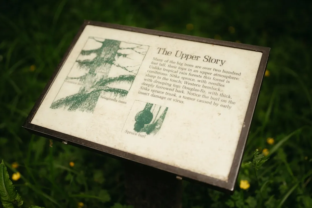 The Hall of Mosses: The Trail That Defines the Hoh Experience (Image Credits: Unsplash)