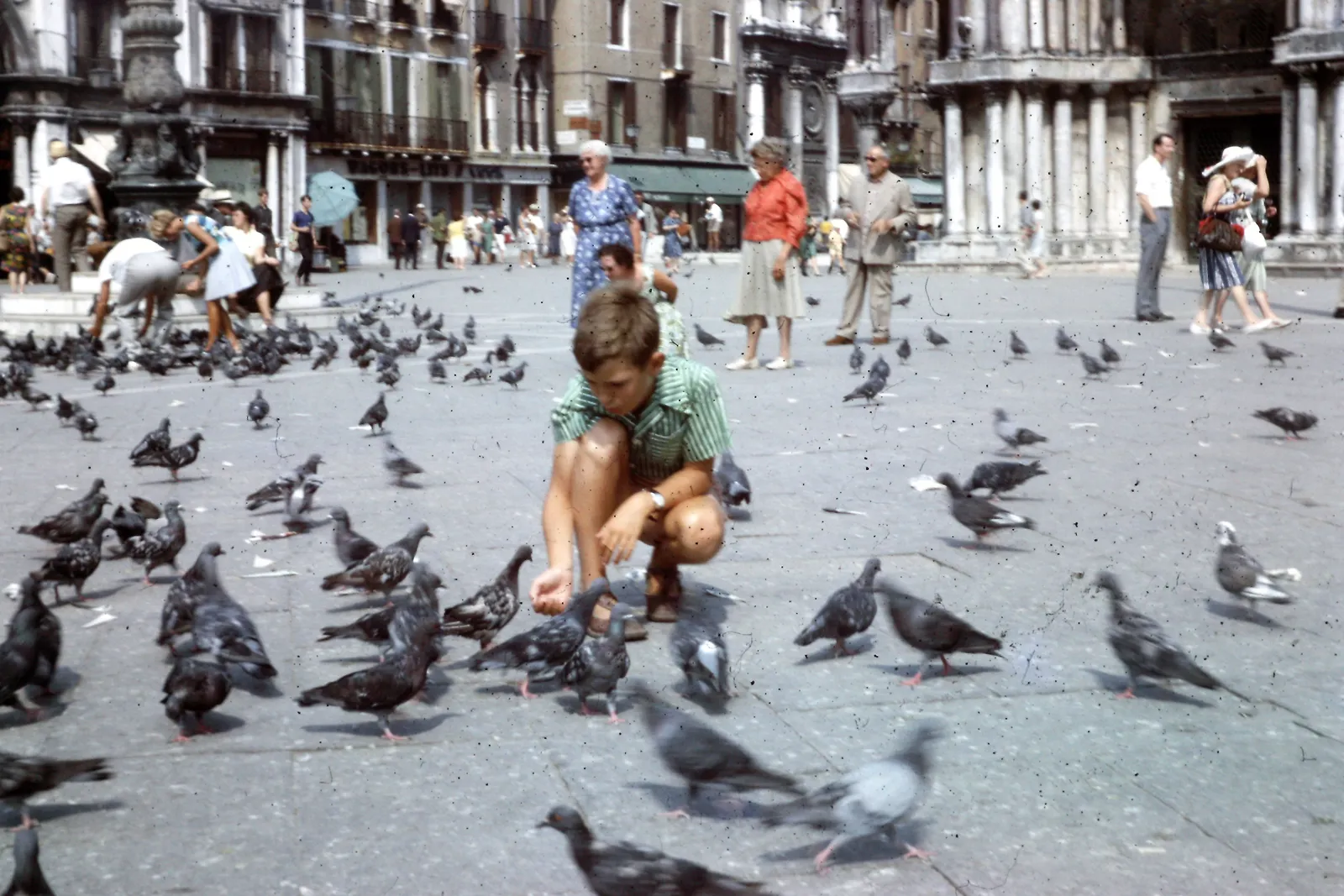 What This Means for Visitors Today (1963 Venice Robert feeing pigeons Granmas in background, CC BY 2.0)