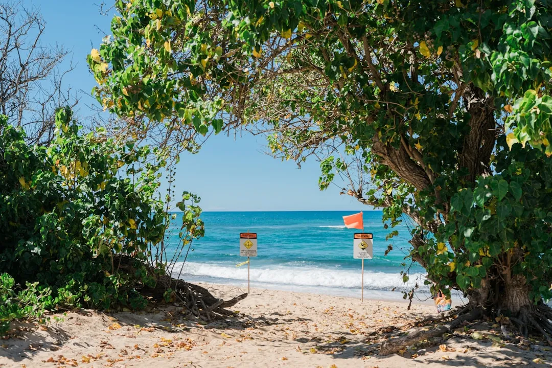 Ignoring Rip Currents: The Number One Killer at the Beach (Image Credits: Unsplash)