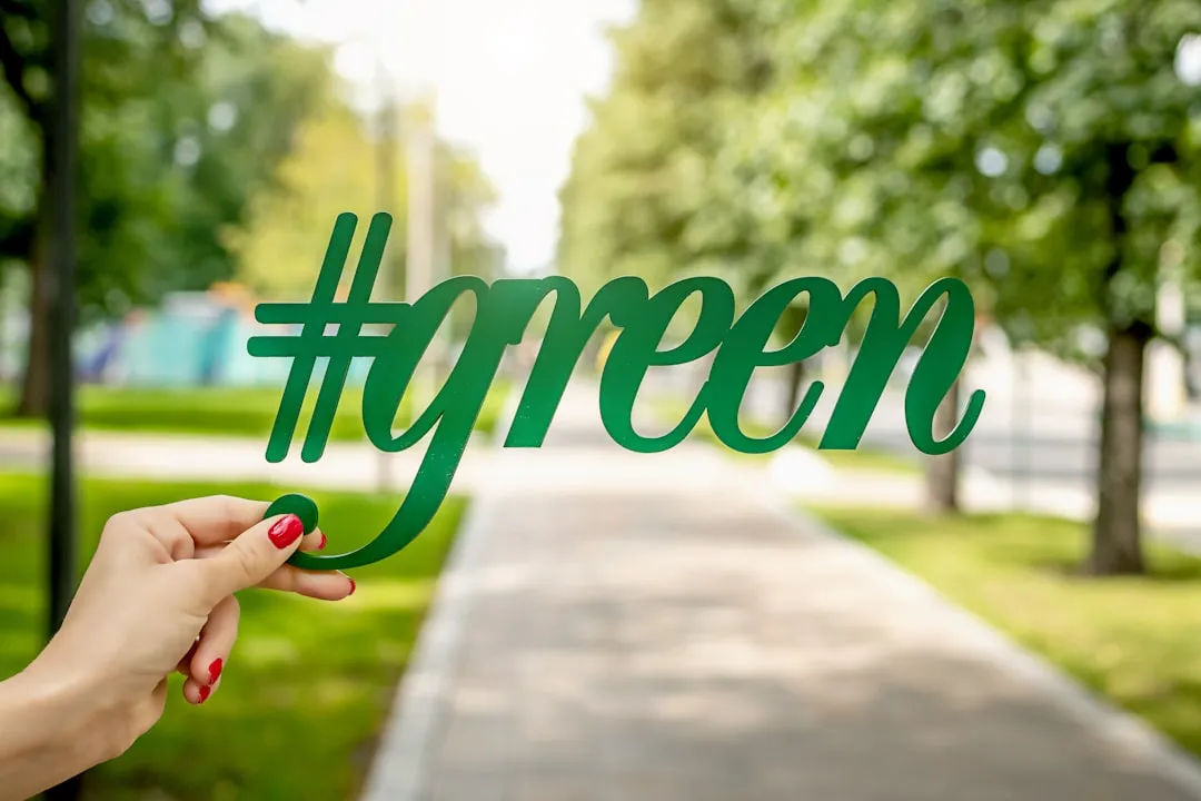 Greenwashing: The Problem These Projects Are Working Against (Image Credits: Unsplash)