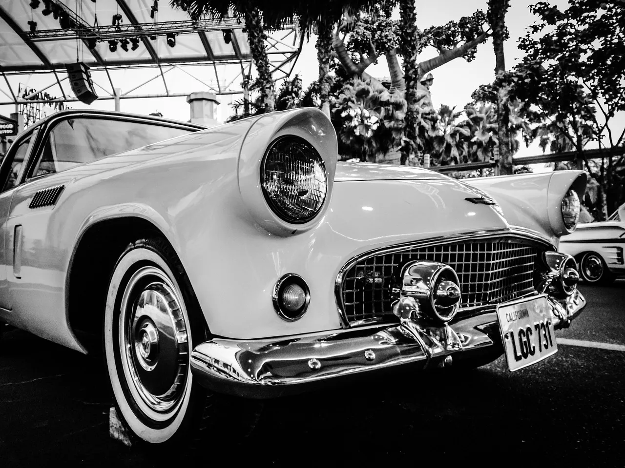 Rare Plates: The Holy Grail of Every Road Trip (Image Credits: Pixabay)
