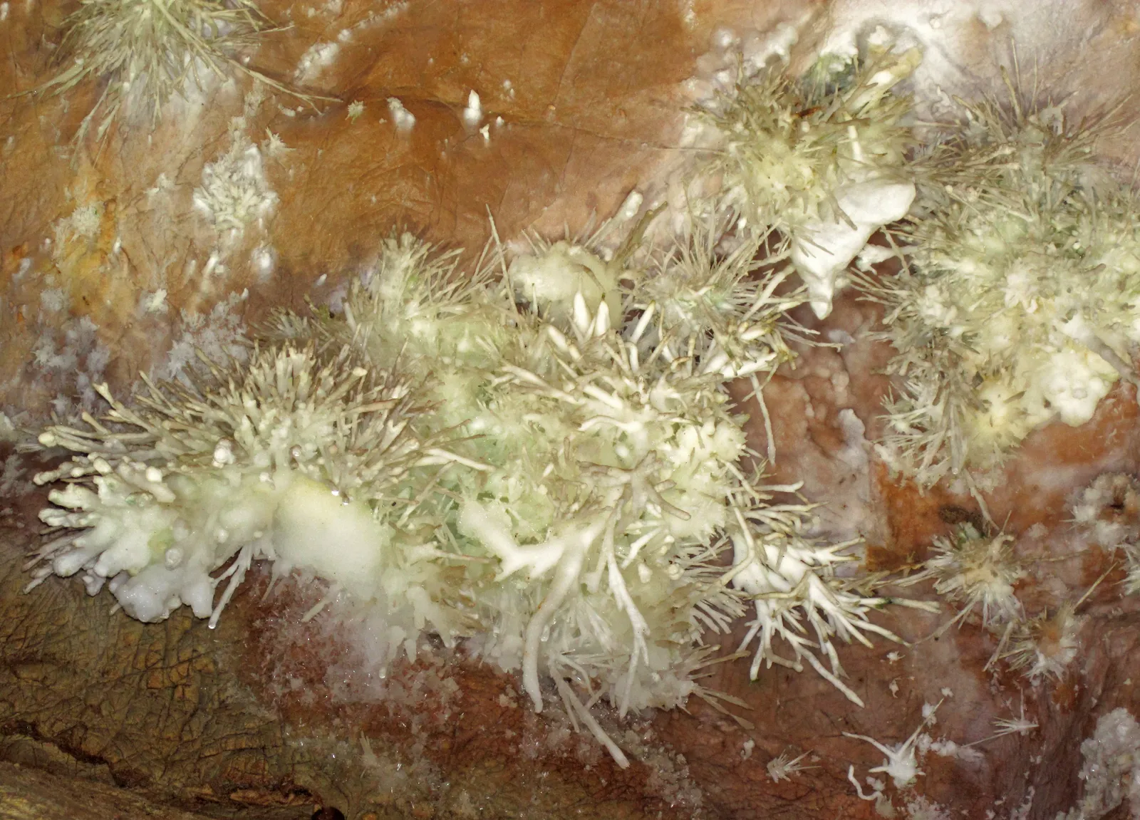 The Rare Cave Flowers Found Almost Nowhere Else (Anthodites (Skyline Caverns, Front Royal, Virginia, USA) 16, CC BY 2.0)