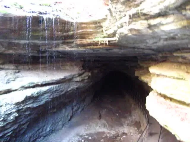 UNESCO Recognition and Global Standing (Historic Entrance (Mammoth Cave, Kentucky, USA) 18, CC BY 2.0)