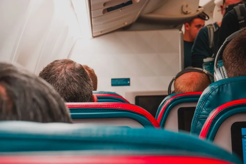 Many Major Airlines No Longer Accept Pets as Cargo for the General Public (Image Credits: Pexels)