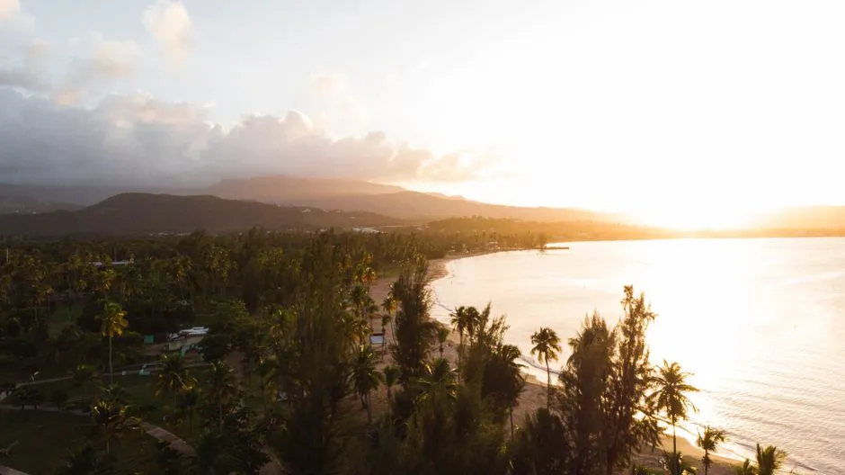 Mosquito Bay: The World's Brightest (Image Credits: Pexels)