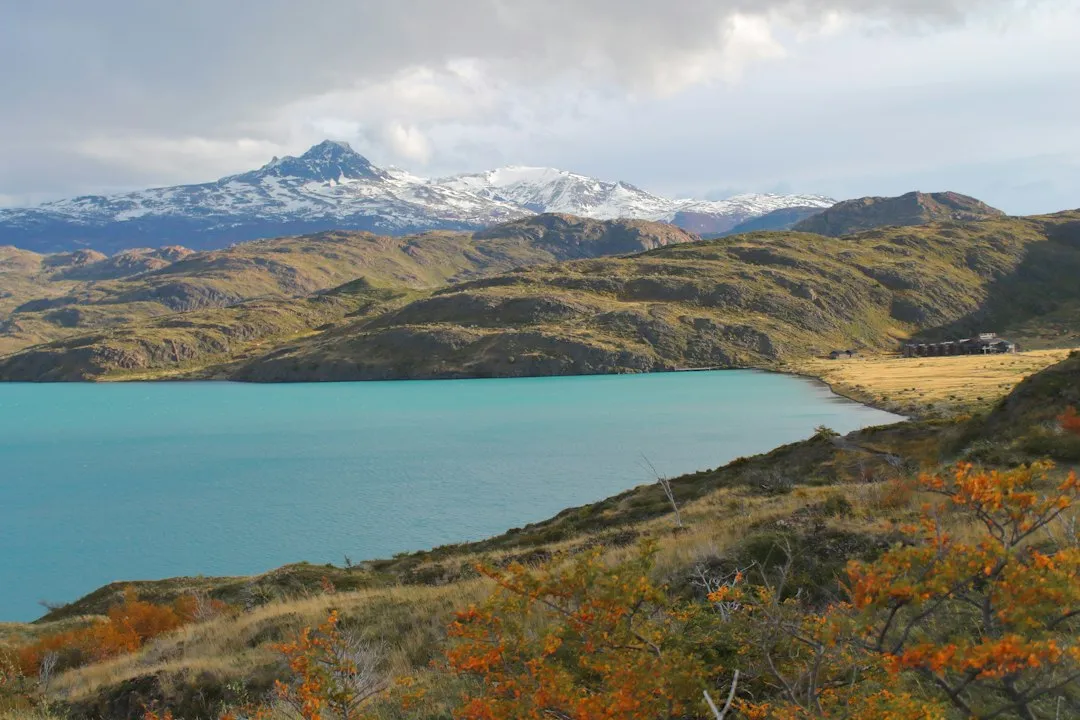 4. Patagonia in Autumn: The Steppe Catches Fire (Image Credits: Unsplash)