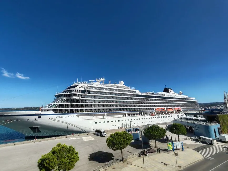 Viking Ocean Cruises: Libraries Designed for Curious Minds (Image Credits: Pexels)