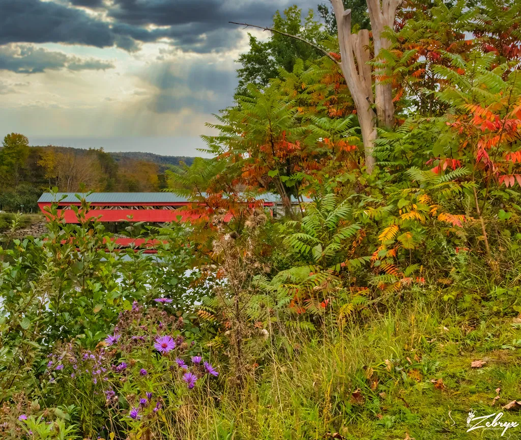 A Place That Earns the Postcard Comparison (Zebralongwing, Flickr, CC BY 2.0)
