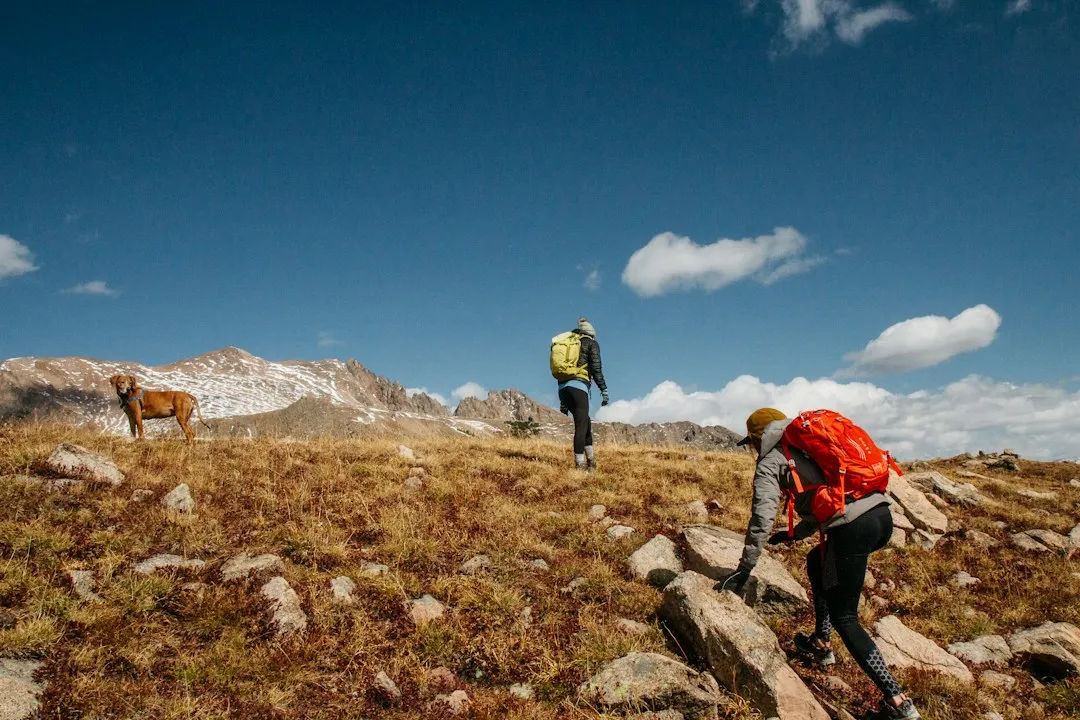 What Allemansrätten Actually Is (Image Credits: Unsplash)