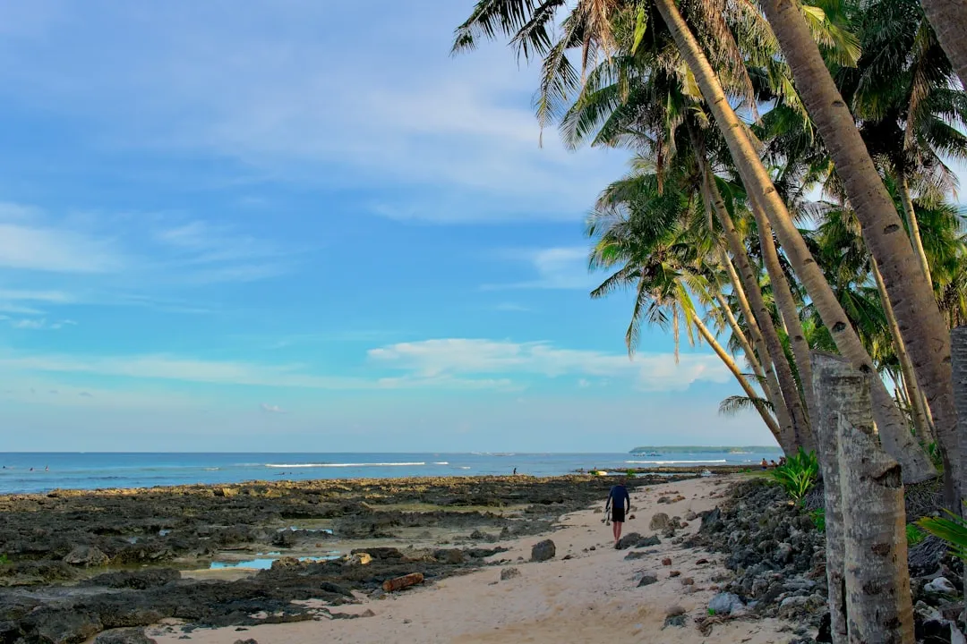 The Surfing Capital That Grew Into So Much More (Image Credits: Unsplash)