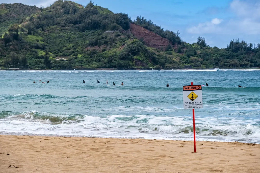 Only About Half of Beachgoers Bother Reading the Signs (Image Credits: Unsplash)